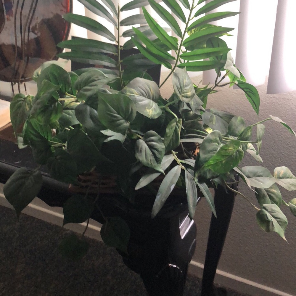 Fake plants